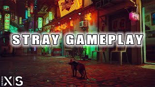 Stray Gameplay  Xbox Series S [upl. by Reagan]