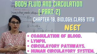 Coagulation of Blood  Lymph  Circulatory Pathways  Human Circulatory System [upl. by Nauqad]