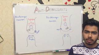 BASICS OF ANTIDEPRESSANTS [upl. by Ayot]