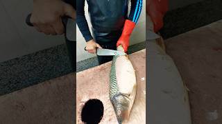 Cleaning the Grass carp fish skin with a knife [upl. by Trofmoc]