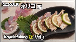 ネリゴを捌いてみた【Kayak Fishing飯 vol1】 [upl. by Hola]