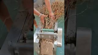 Vegetable slicer vegetableslicer slicer grasscutter haycutter chaffcutter grass forage [upl. by Svirad]