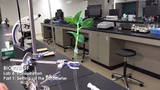 Transpiration Part 1 Setting up the Potometer [upl. by Jacquelynn]