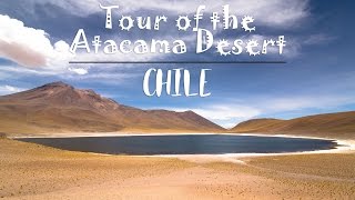 TOUR OF THE ATACAMA DESERT CHILE [upl. by Winfrid704]