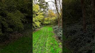 Exploring Wytham Woods in Autumn [upl. by Yuhas]