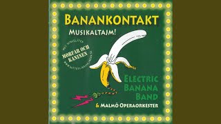 Electric Banana Tajm [upl. by Vale]