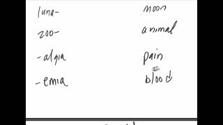 Gen Bio 2 low tech review  prefix and suffix review [upl. by Trinia]