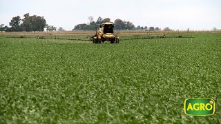 Fertilizar y balancear nutrientes para alcanzar el éxito y la sustentabilidad de la agricultura [upl. by Ailuy797]