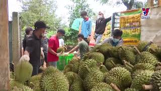 Vietnamese durian accounts for nearly 32 of China’s imports [upl. by Emad546]