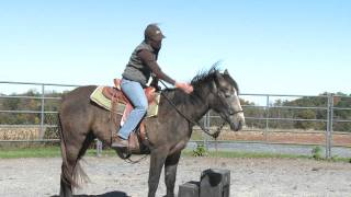 Starting a Young Horse Buhdars First Ride Part V [upl. by Arykat]