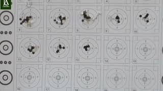 FX impact M3 shooting 22 1813 grn JSB pellets unsorted at 62 yards [upl. by Itsuj606]