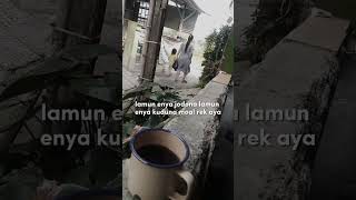 Ngopi baraya viralvideo automobile bangunlahjiwadanraganya [upl. by Bradwell]