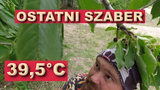 OSTATNI SZABER 395 °C  U Polaka na Krymie dzień kolejny [upl. by Gernhard5]