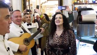 Flash Mob della canzone napoletana  Terza edizione 2019  Gran Caffè Gambrinus [upl. by Mervin]