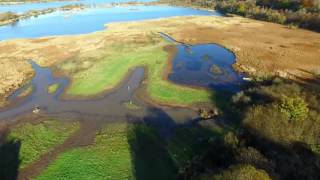 RSPB Lochwinnoch Nature reserve [upl. by Wira]