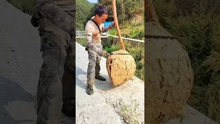 Breaking the bee wheel without safety 🦺😱😎 shortvideo amazingfacts [upl. by Akcemat353]