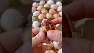 Fertilized egg amazingfacts food [upl. by Rubinstein198]