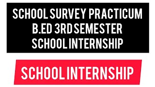 BEd School Survey practicum File 3rd semester practicum school Internship [upl. by Eelarac]