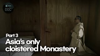 The House at the end of the World The Carthusian Cloistered Monastery Part 3 [upl. by Durnan503]