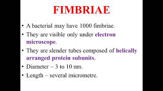 Fimbriae [upl. by Gilles]