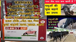 Boost Up Tablet  for Animal Use जानवरो मे उपयोग की जाती है boost up tablets भुख बढ़ाये जानवरो की [upl. by Betsey895]