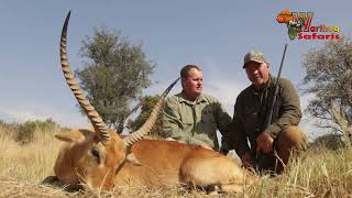 Lechwe Hunt with Warthog Safaris [upl. by Annawit644]