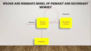 UNIT 4 MODELS OF INFORMATION PROCESSING PART 1 [upl. by Inwat]