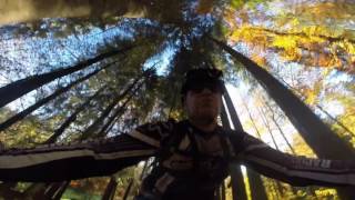 Enduro Bike Film vom Etzel 28 10 16 [upl. by Cumings]