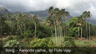 Aanandha yazhai by flute vijay [upl. by Esbenshade]