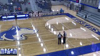 Owatonna High School vs Farmington JV Womens Varsity Basketball [upl. by Cirdes]