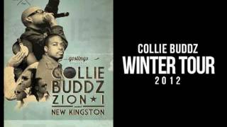 Collie Buddz  I Feel So Good Official Audio [upl. by Pulchi]