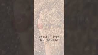 Vermikülitte iş ortağınız vermiculite bitki vermikülit bahçe perlit agriculture tarım plant [upl. by Edals]