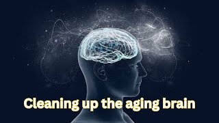 Cleaning up the aging brain Scientists restore brains trash disposal system [upl. by Mlawsky]