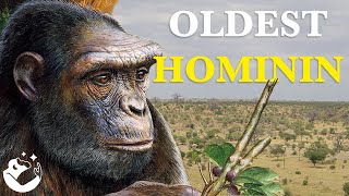 The Fascinating Origins of Hominins [upl. by Winthorpe860]