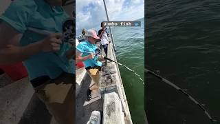 Fishing ytshorts fishing fishermenlife viralshort fish traditionalfishermanlife [upl. by Notlef237]