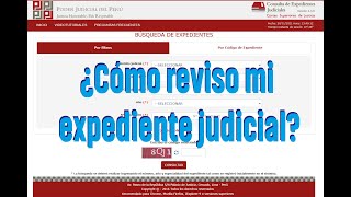 ¿Cómo reviso mi expediente judicial [upl. by Matthew308]