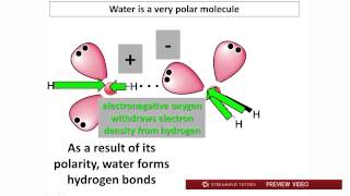 Biochemistry Water PH and Buffers Part 1 tutorial [upl. by Evetta]