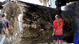 unexpected surprise while sawing ancient log at the sawmill [upl. by Oric]