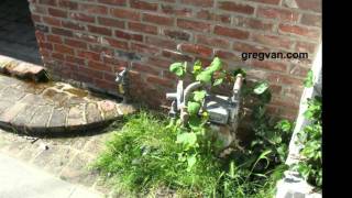 Rusting Gas Meter  Easy House Maintenance [upl. by Yenhpad461]