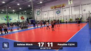 Adidas Black 20232024 vs Palatine 1314 Teal [upl. by Kreitman761]