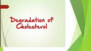 Cholesterol Metabolism  Department of Biochemistry  Santhiram Medical College [upl. by Suoirrad]