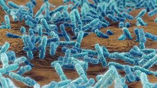 stock footage pseudomonas aeruginosa bacteria klebsiella medical concept [upl. by Belinda]