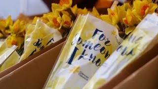 Daffodil Day Thank You [upl. by Karee]