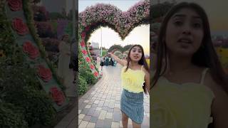 Dubai🇦🇪এর Miracle Garden এসে Disny island উপরে উঠলাম😍 minivlog vlog [upl. by Llirret387]