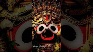 Anathara natha hey jaganath odia song [upl. by Dido]