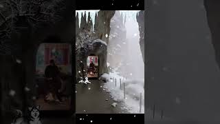 snow night day fypシ゚viral viralshort bosnia travel birds germany funny funnyvideo idili [upl. by Ahsiliw707]