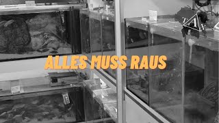 ALLES MUSS RAUS [upl. by Hux645]