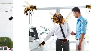 Covert Cadillac Bee Cave Commercial [upl. by Mckenna]