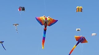 Festival der Riesendrachen auf dem Tempelhofer Feld in Berlin [upl. by Alliuqa]