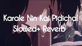 Karale Nin Kai Pidichal Slowed  Reverb  Dhevadhoothan [upl. by Anaerdna]